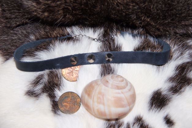 Halsband 3 Ziernieten